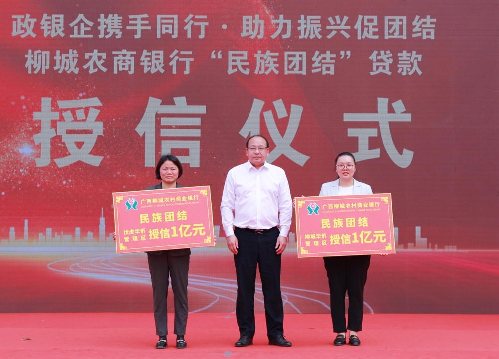 图一 