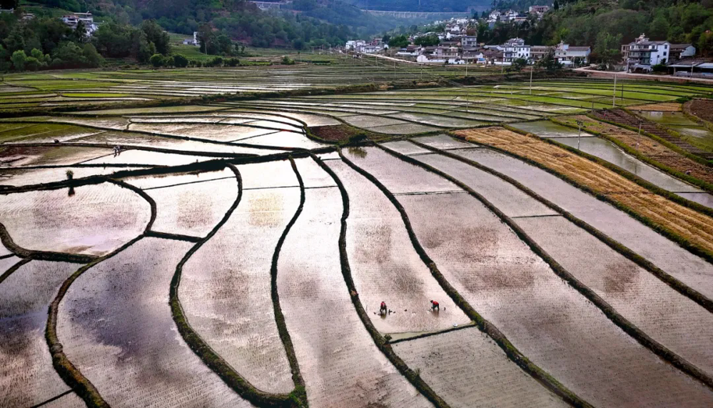 在4