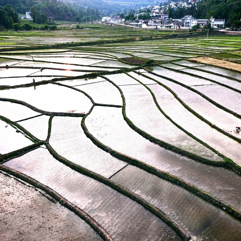 在7