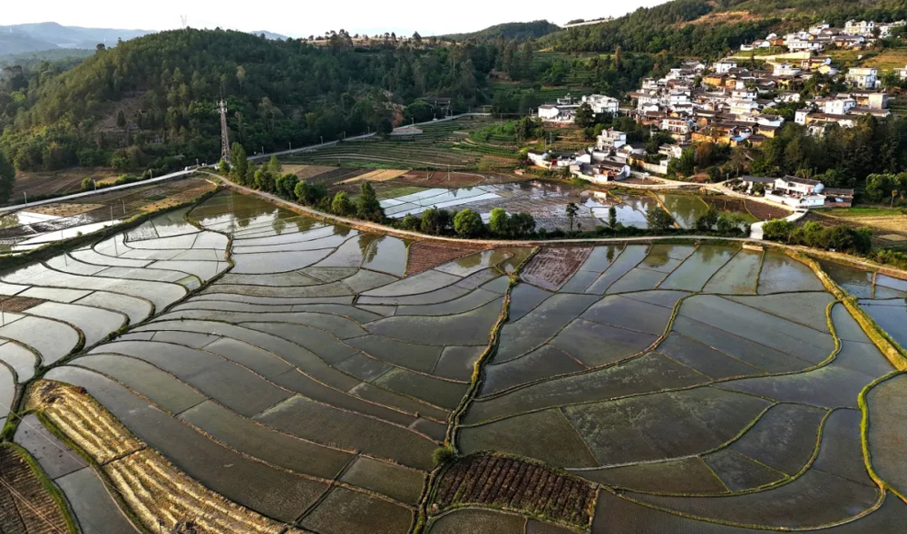 在3
