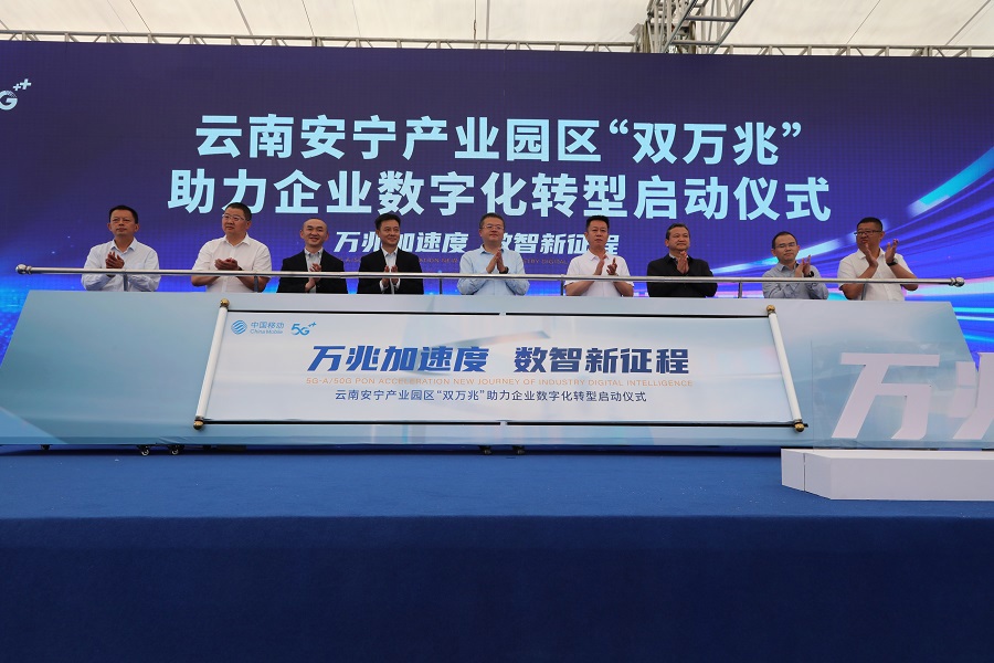 组织11
