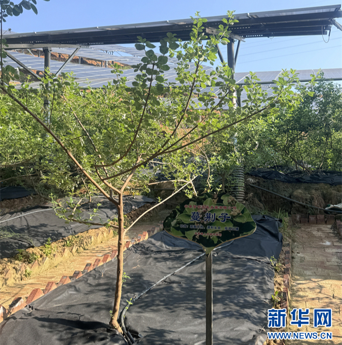 微信图片_20240531193503