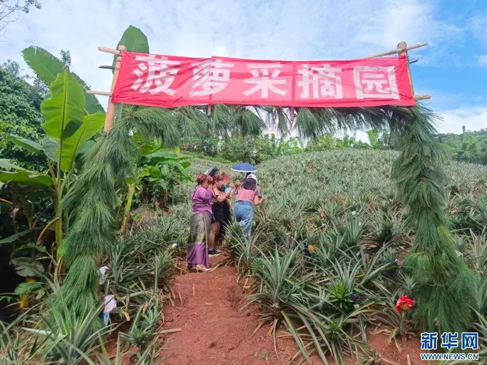 微信图片_20240531215700