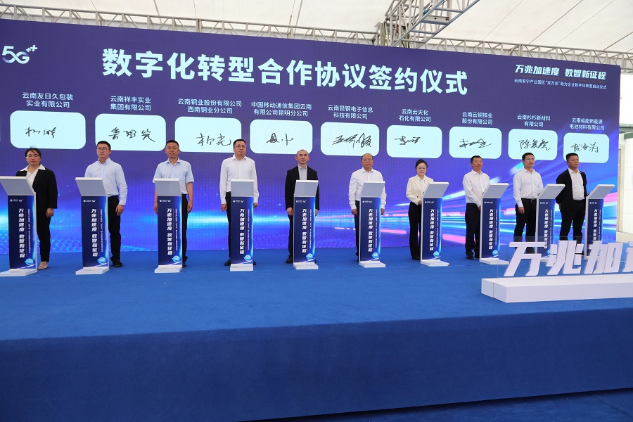 组织22