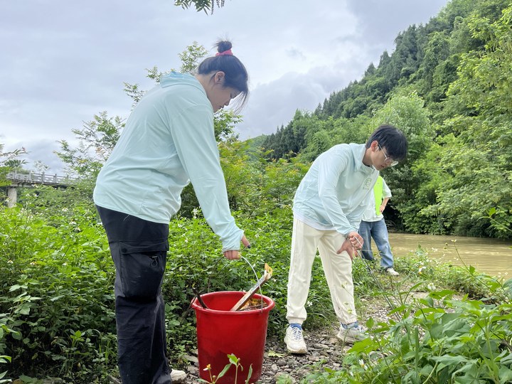 志愿者在清理河道垃圾。