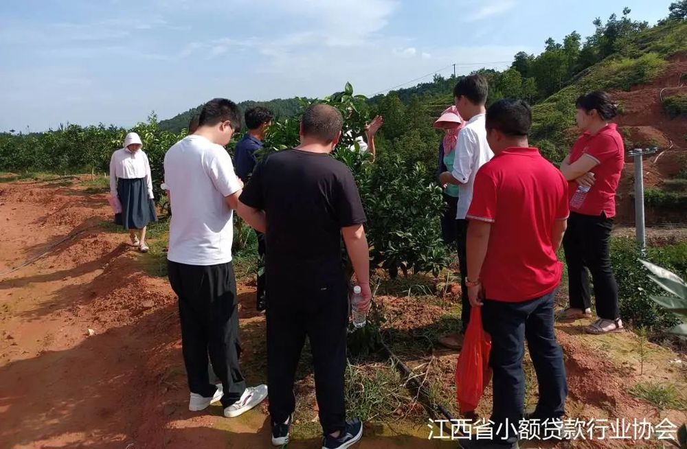 微信图片_20240614174423
