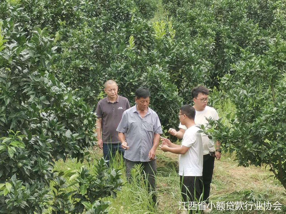 微信图片_20240614174431