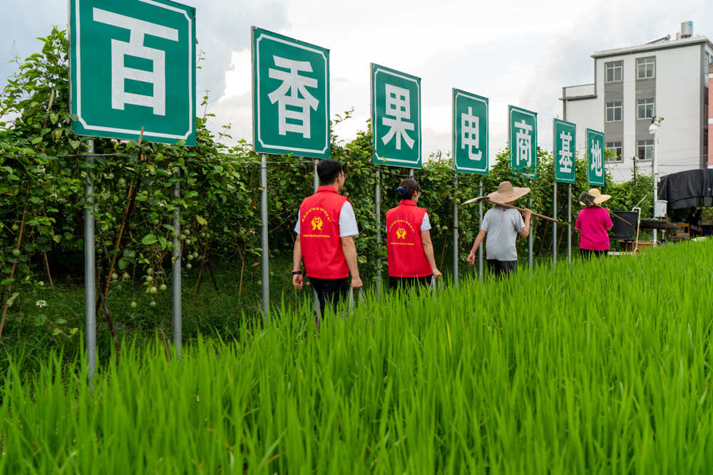 图为北流联社金融专员到当地百香果电商基地与村民一起查看百香果长势 北流联社供图