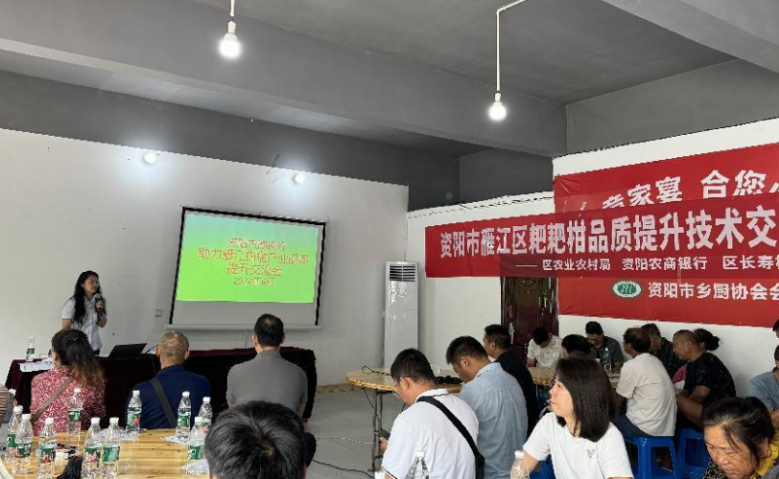 微信图片_20240717011953
