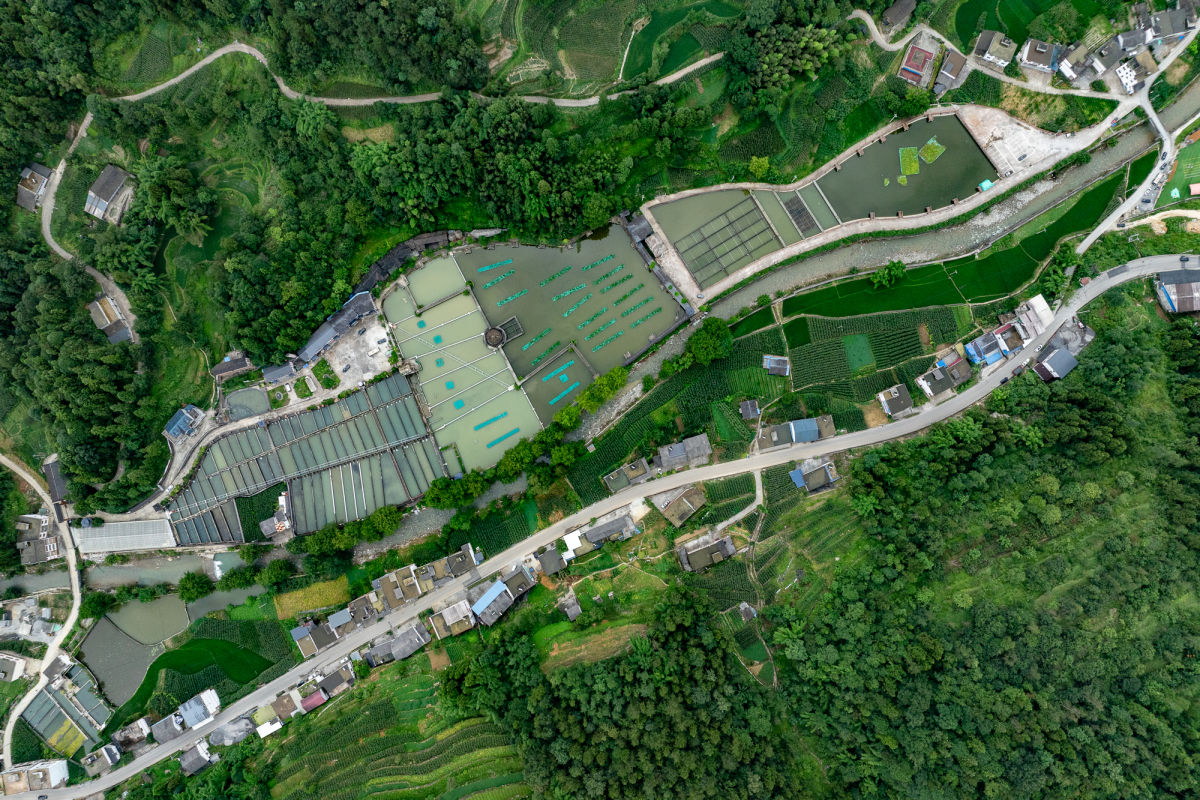 图为航拍彭水太原镇区阳村冷水鱼养殖基地。 记者 何蓬磊 摄
