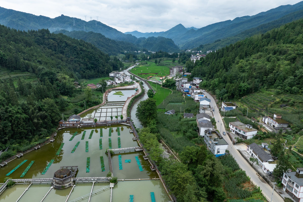 图为航拍彭水太原镇区阳村冷水鱼养殖基地。 记者 何蓬磊 摄