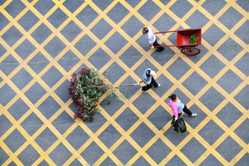 图片7