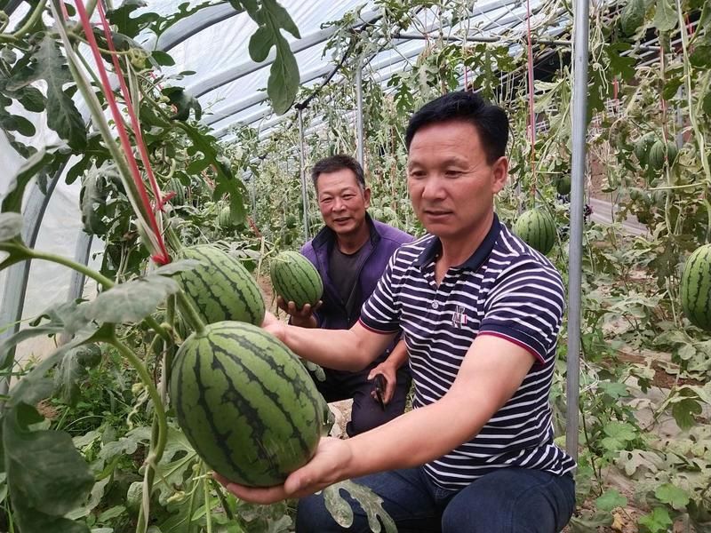 微信图片_20240904230258