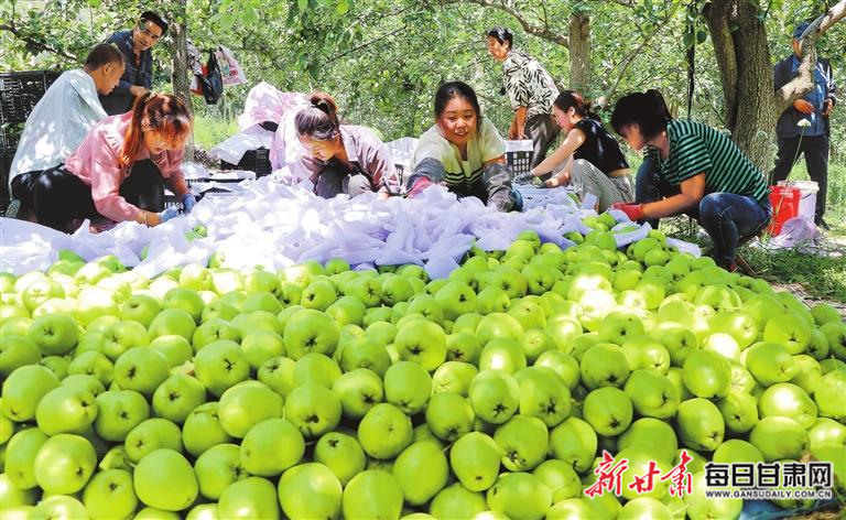 微信图片_20240909213004