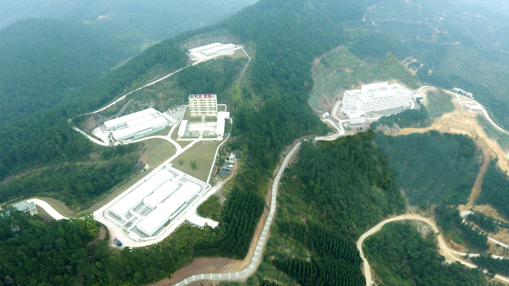 图为广西扬翔集团股份有限公司位于港南区亚计山的智能设施楼房猪场航拍图 贵港农商银行供图