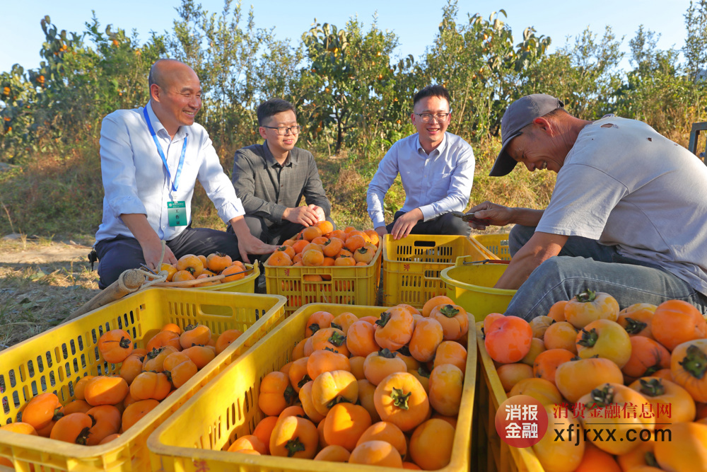 图为农行广西恭城县支行员工正向当地村民了解行情 伍文悄供图