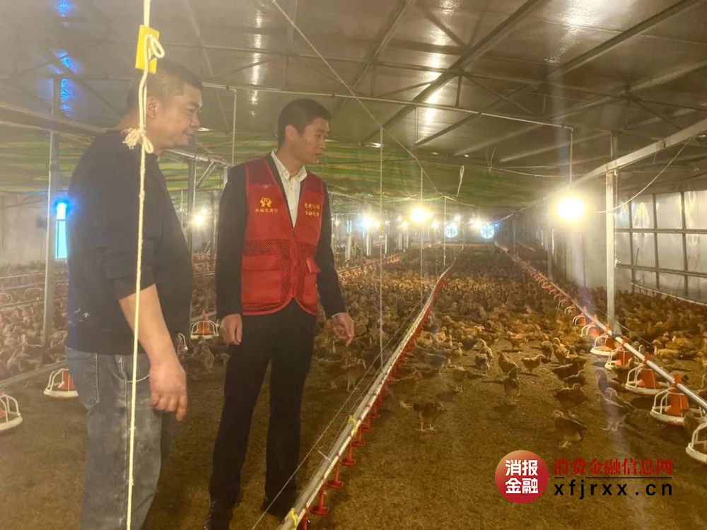 微信图片_20250420205153